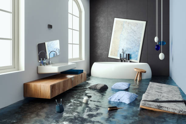 Best Professional water damage repair  in Wheaton, IL