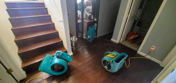 Best Flood damage cleanup  in Wheaton, IL