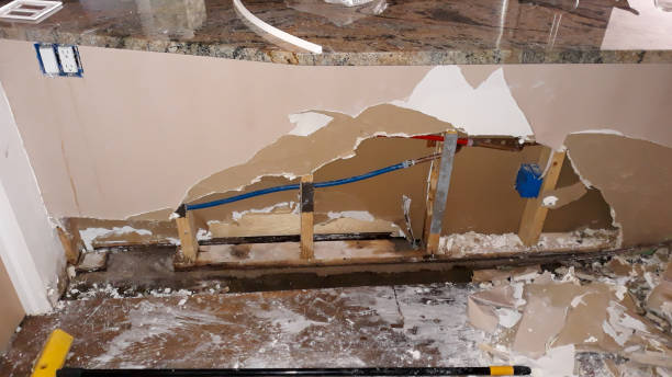 Best Flooded house restoration  in Wheaton, IL