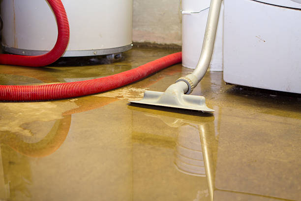 Best Water damage restoration services  in Wheaton, IL