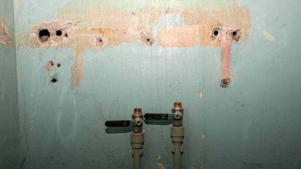 Best Flood restoration services  in Wheaton, IL