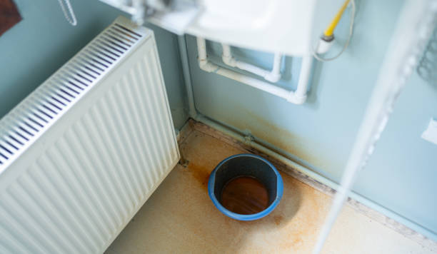 Best Water damage restoration experts  in Wheaton, IL